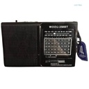 RADIO MULTIBANDA WOOU-350BT VX-350